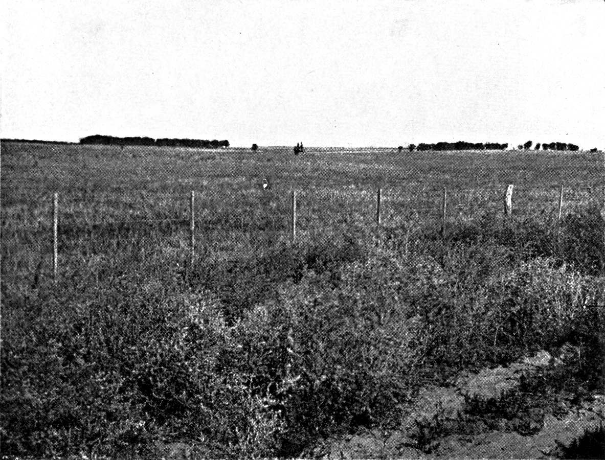 The Pampean Plain