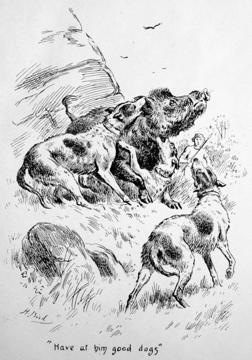 Illustration: “Have at him good dogs”