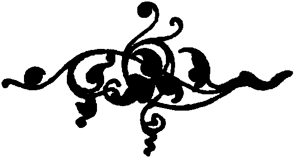vinjeto