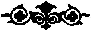 vinjeto