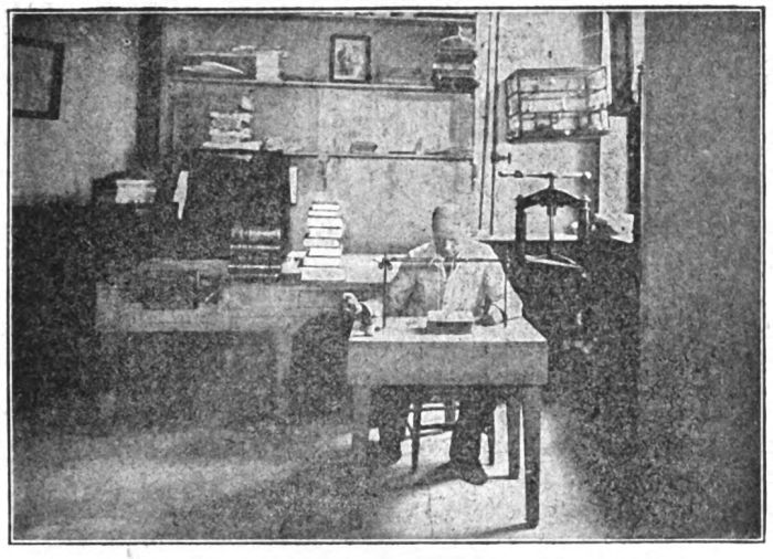 The Bindery