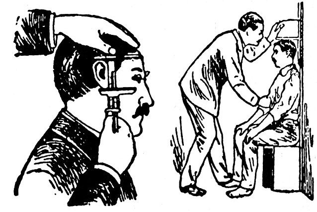 Right Ear and Trunk Measurements.