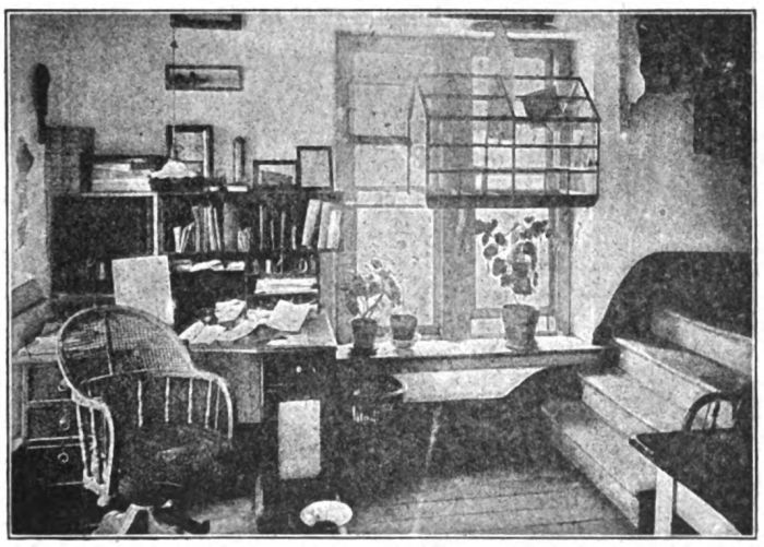 Editor's Room, Prison Mirror