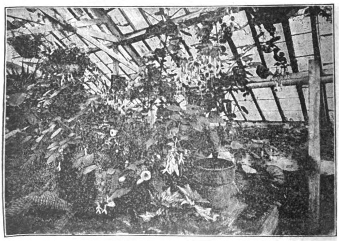 Sinbad's Greenhouse