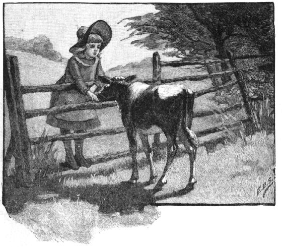 Flicka och kviga