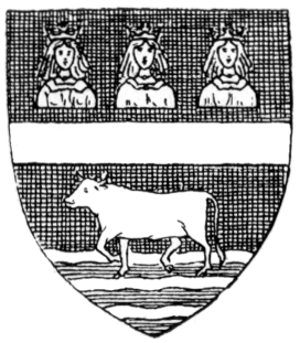 Shield