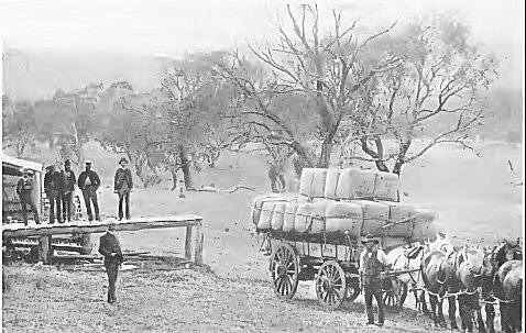 Despatching the wool-packs