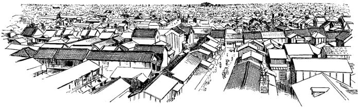 Fig. 1.—View in Tokio, showing shops and houses. (Copied from a Photograph).