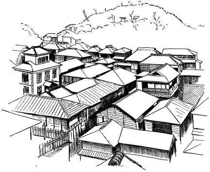 Fig. 3.—View of Enoshima (Copied from a Photograph).
