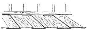 Fig. 60.—Hisashi.