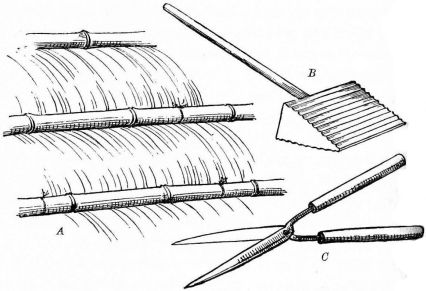 Fig. 78.—Thatch, and thatcher's implements.