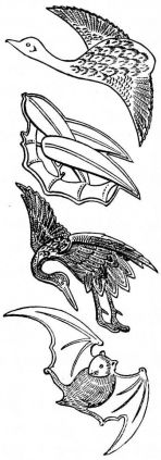 Figs. 114, 115, 116, and 117. Ornamental-headed nails.