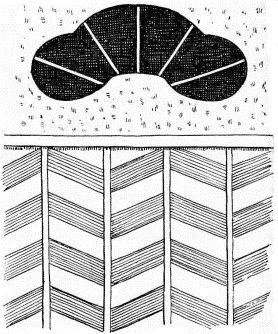 Fig. 154.—Window.