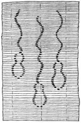 Fig. 163.—Bamboo curtain.