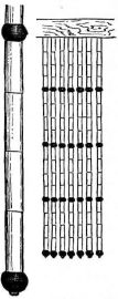 Fig. 165.—Fringed curtains.