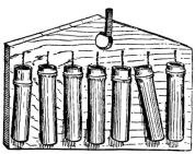 Fig. 244.—Gate-rattle.