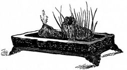 Fig. 276.—Wooden trough for plants.