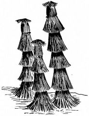 Fig. 282.—Shrubs wrapped in straw for winter.