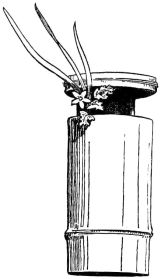 Fig. 294.—Hanging flower-holder of bamboo.