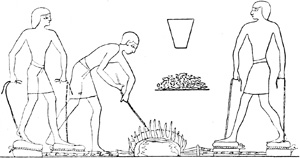 [Abb. 8]