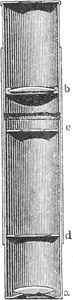 Abb. 1