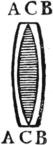 Abb. 122