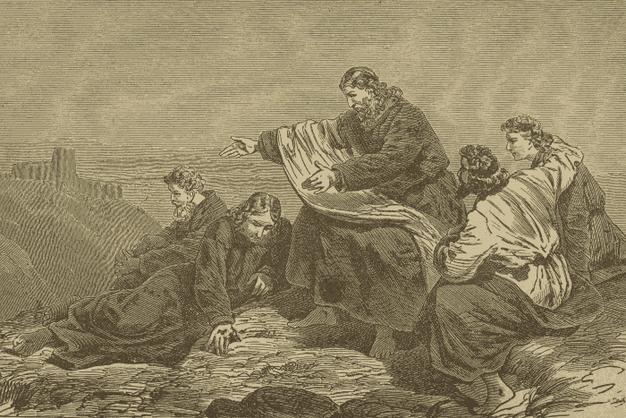 Illustration