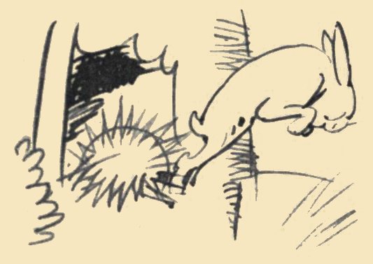 DER UNVERSCHAEMTE IGEL II