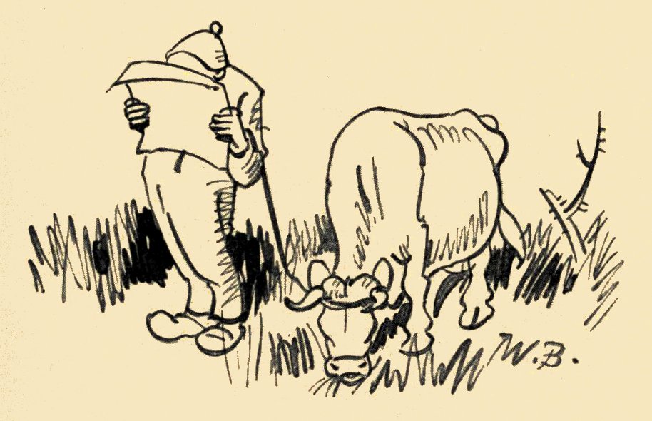 DORFPOLITIKER I