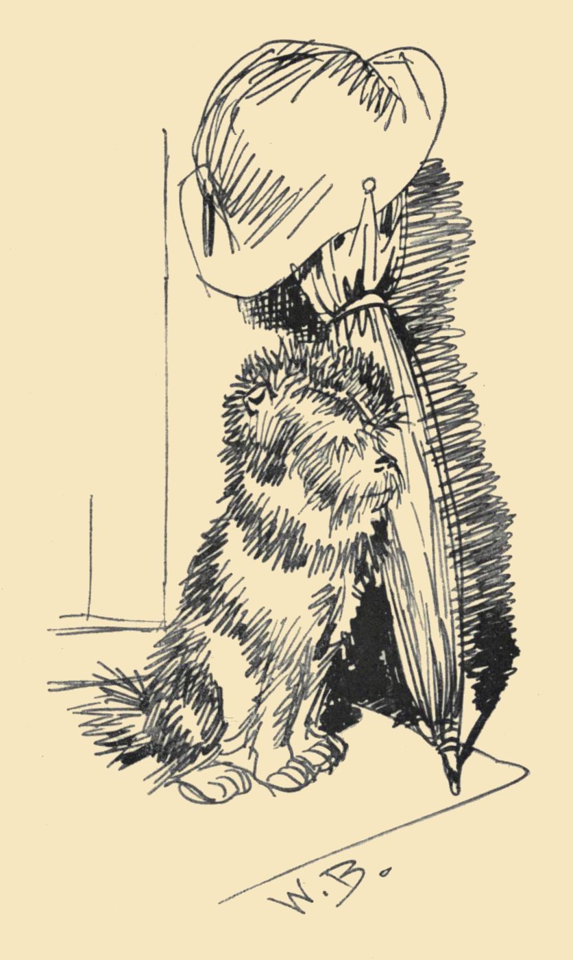 SCHNAUZ