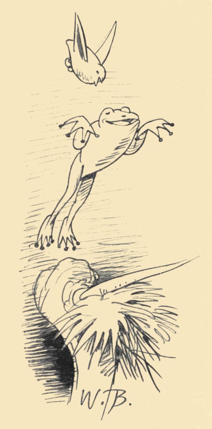DER FLIEGENDE FROSCH II