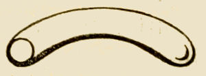 Illustration of curved stone