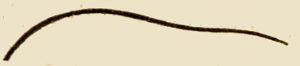Illustration of bow