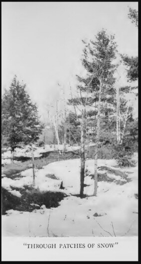 “Through patches of snow”