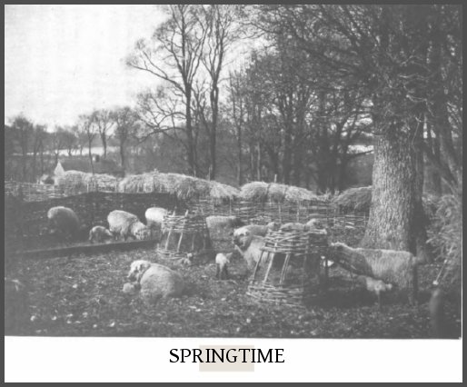 ‘Springtime’