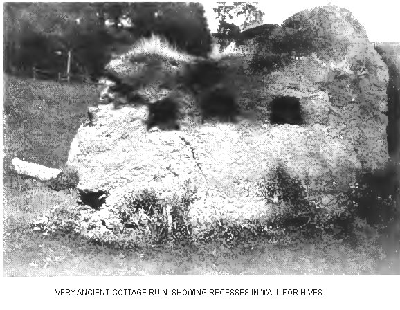 “Ancient cottage ruin showing recesses for hives”