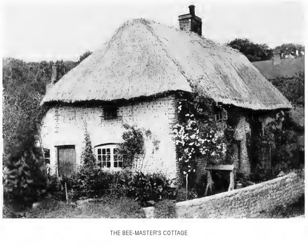 “The Bee-Master’s cottage”