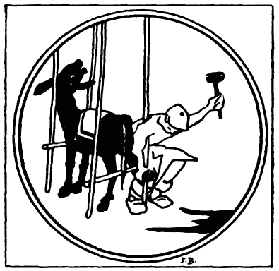 [Image unavailable.]
