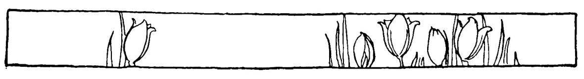 [Image unavailable.]