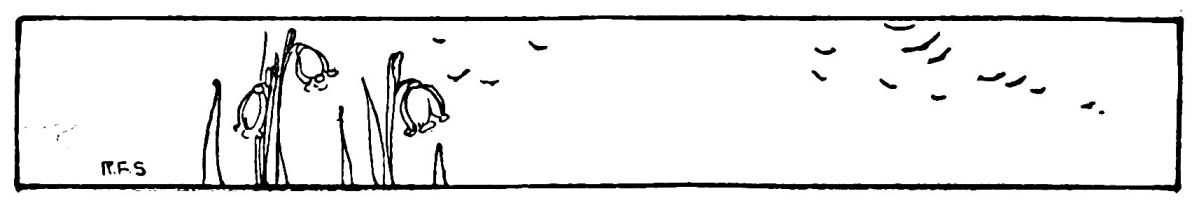 [Image unavailable.]