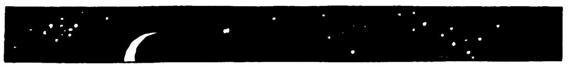 [Image unavailable.]