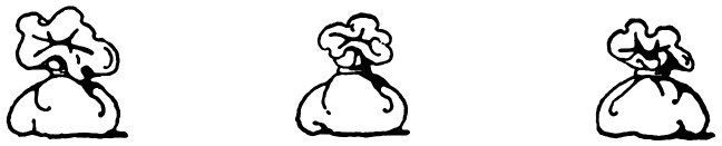 [Image unavailable.]