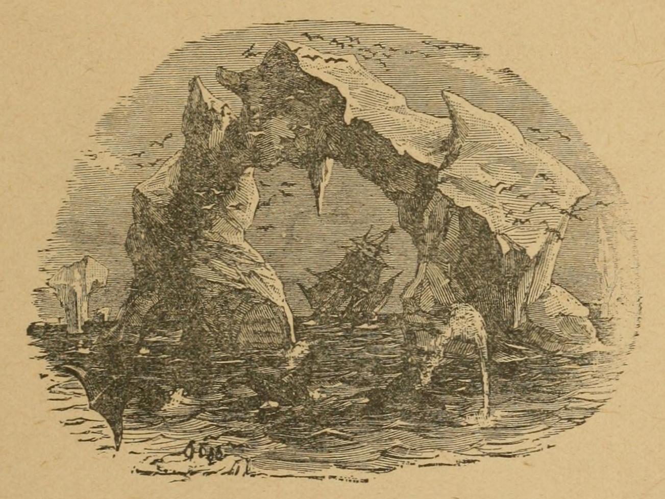 (‡ Colophon)