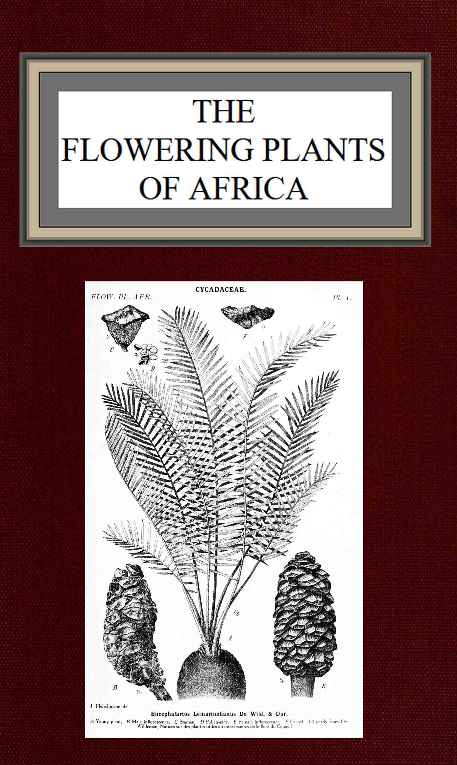 [The image of
the book's cover is unavailable.]