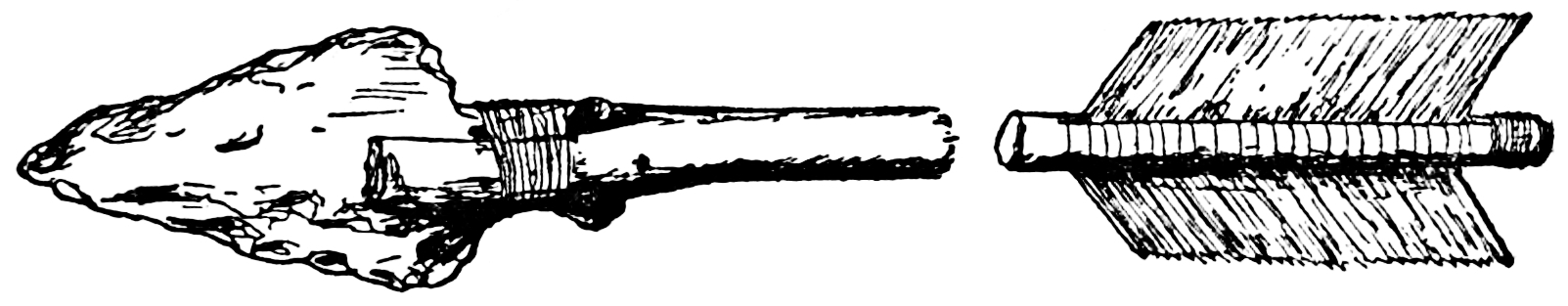 [Image unavailable.]