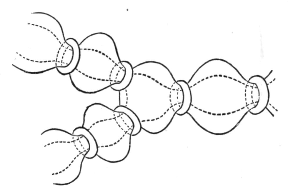 fig10
