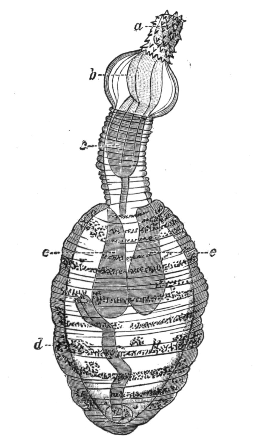 fig100