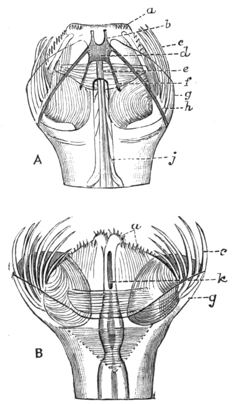 fig102