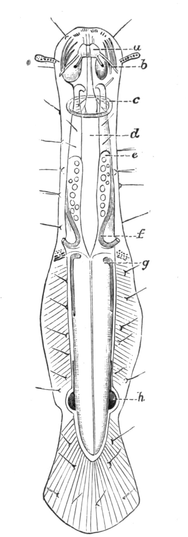 fig103