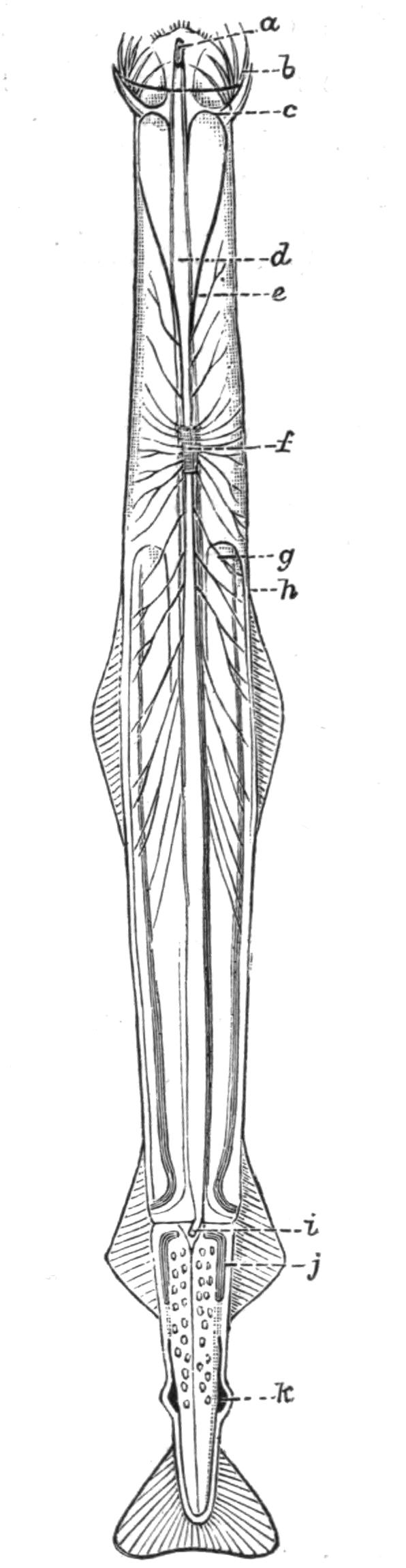 fig104